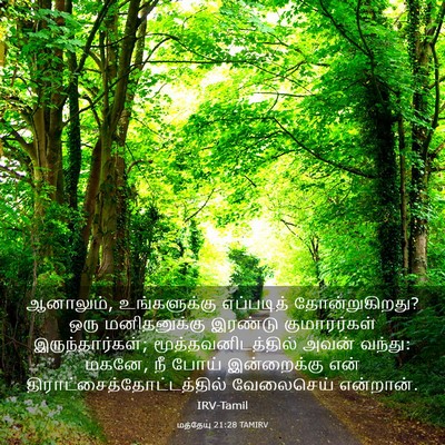Picture 03 - மத்தேயு 21:28 TAMIRV - ஆனாலும், - Bible Verse Picture