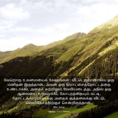Picture 03 - மத்தேயு 21:33 TAMIRV - வேறொரு உவமையைக் - Bible Verse Picture