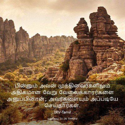 Picture 03 - மத்தேயு 21:36 TAMIRV - பின்னும் அவன் - Bible Verse Picture