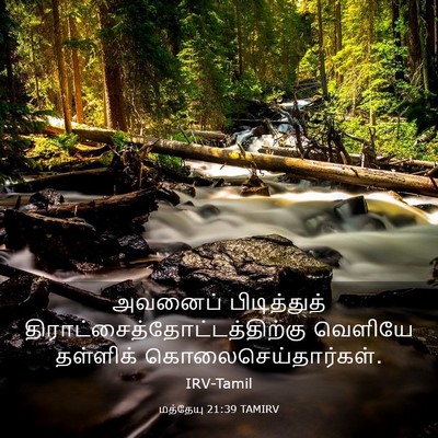 Picture 03 - மத்தேயு 21:39 TAMIRV - அவனைப் பிடித்துத் - Bible Verse Picture