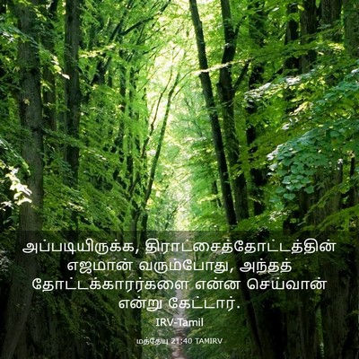 Picture 03 - மத்தேயு 21:40 TAMIRV - அப்படியிருக்க, - Bible Verse Picture
