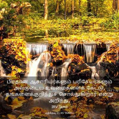 Picture 03 - மத்தேயு 21:45 TAMIRV - பிரதான - Bible Verse Picture