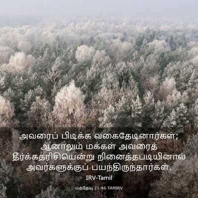 Picture 03 - மத்தேயு 21:46 TAMIRV - அவரைப் பிடிக்க - Bible Verse Picture