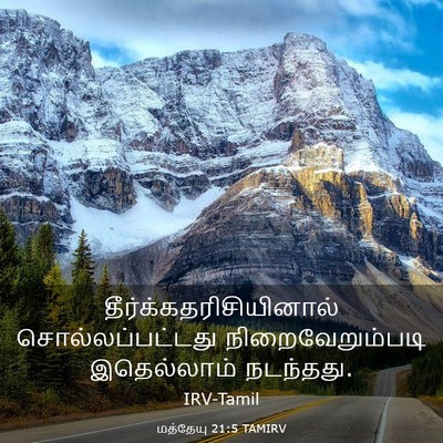 Picture 03 - மத்தேயு 21:5 TAMIRV -  - Bible Verse Picture