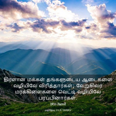 Picture 03 - மத்தேயு 21:8 TAMIRV - திரளான மக்கள் - Bible Verse Picture