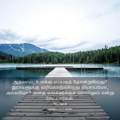 Picture 03 - மத்தேயு 22:17 TAMIRV - ஆதலால், உமக்கு - Bible Verse Picture