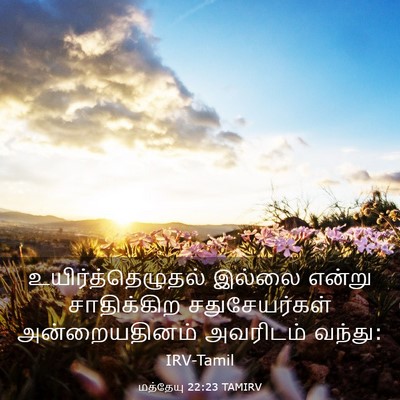 Picture 03 - மத்தேயு 22:23 TAMIRV - உயிர்த்தெழுதல் - Bible Verse Picture