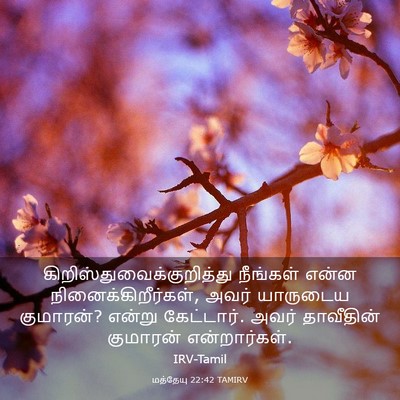 Picture 03 - மத்தேயு 22:42 TAMIRV -  - Bible Verse Picture