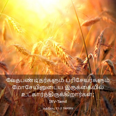 Picture 03 - மத்தேயு 23:2 TAMIRV - வேதபண்டிதர்களும் - Bible Verse Picture