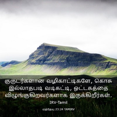 Picture 03 - மத்தேயு 23:24 TAMIRV - குருடர்களான - Bible Verse Picture