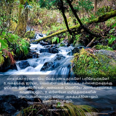 Picture 03 - மத்தேயு 23:27 TAMIRV - மாயக்காரர்களாகிய - Bible Verse Picture