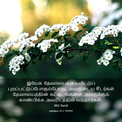 Picture 03 - மத்தேயு 24:1 TAMIRV - இயேசு - Bible Verse Picture