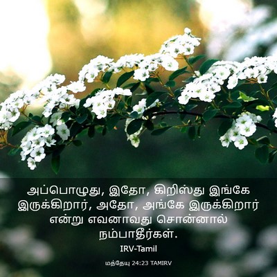 Picture 03 - மத்தேயு 24:23 TAMIRV - அப்பொழுது, இதோ, - Bible Verse Picture