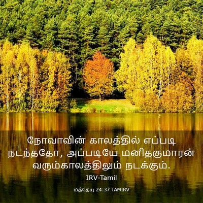 Picture 03 - மத்தேயு 24:37 TAMIRV - நோவாவின் - Bible Verse Picture