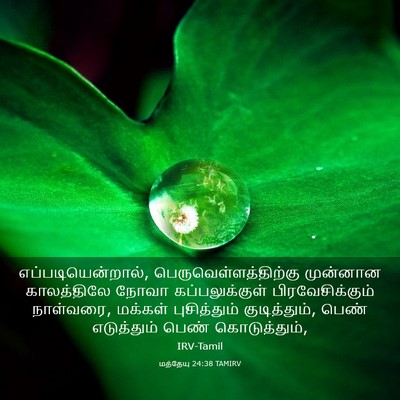 Picture 03 - மத்தேயு 24:38 TAMIRV - எப்படியென்றால், - Bible Verse Picture