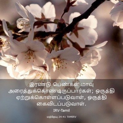 Picture 03 - மத்தேயு 24:41 TAMIRV - இரண்டு பெண்கள் - Bible Verse Picture