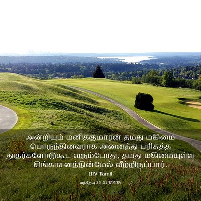 Picture 03 - மத்தேயு 25:31 TAMIRV - அன்றியும் - Bible Verse Picture