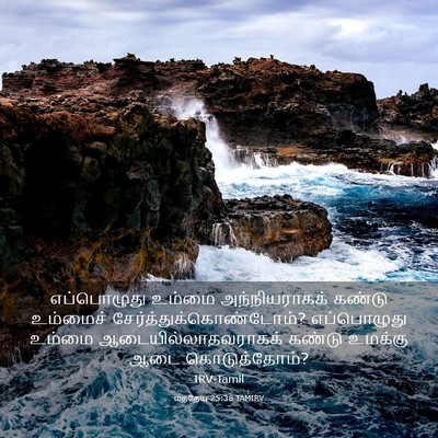 Picture 03 - மத்தேயு 25:38 TAMIRV - எப்பொழுது உம்மை - Bible Verse Picture