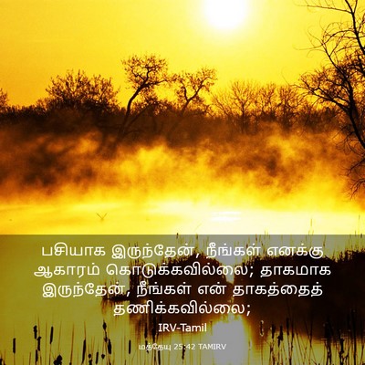 Picture 03 - மத்தேயு 25:42 TAMIRV - பசியாக இருந்தேன், - Bible Verse Picture