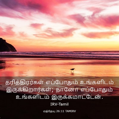 Picture 03 - மத்தேயு 26:11 TAMIRV - தரித்திரர்கள் - Bible Verse Picture