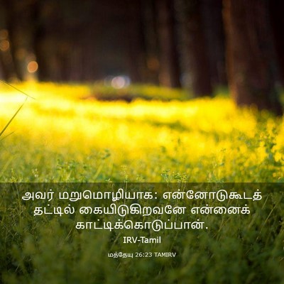 Picture 03 - மத்தேயு 26:23 TAMIRV - அவர் மறுமொழியாக: - Bible Verse Picture