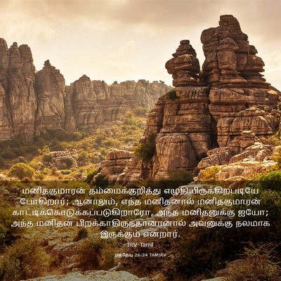 Picture 03 - மத்தேயு 26:24 TAMIRV - மனிதகுமாரன் - Bible Verse Picture
