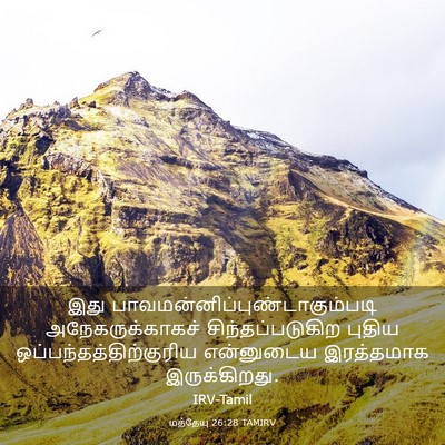 Picture 03 - மத்தேயு 26:28 TAMIRV - இது - Bible Verse Picture