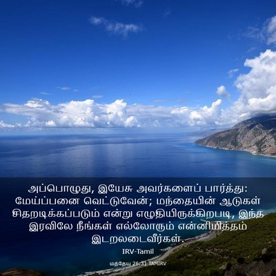 Picture 03 - மத்தேயு 26:31 TAMIRV - அப்பொழுது, இயேசு - Bible Verse Picture