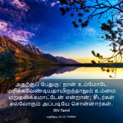 Picture 03 - மத்தேயு 26:35 TAMIRV - அதற்குப் பேதுரு: - Bible Verse Picture