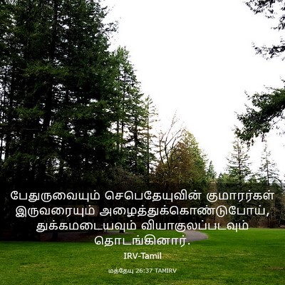 Picture 03 - மத்தேயு 26:37 TAMIRV - பேதுருவையும் - Bible Verse Picture