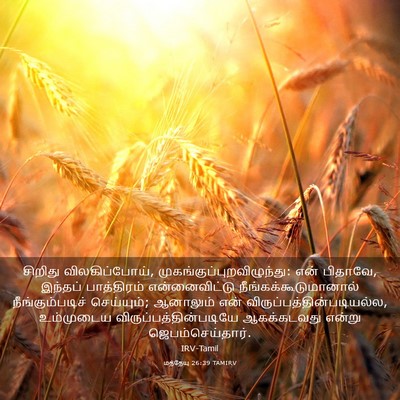 Picture 03 - மத்தேயு 26:39 TAMIRV - சிறிது - Bible Verse Picture