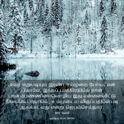 Picture 03 - மத்தேயு 26:42 TAMIRV - அவர் மறுபடியும் - Bible Verse Picture