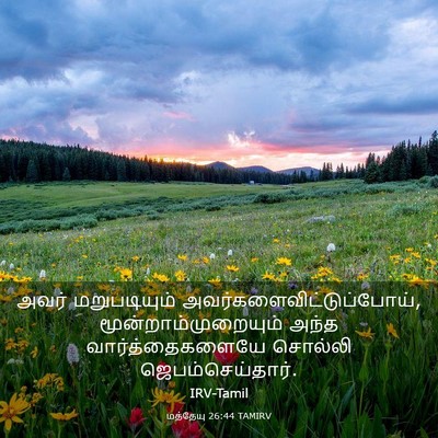Picture 03 - மத்தேயு 26:44 TAMIRV - அவர் மறுபடியும் - Bible Verse Picture