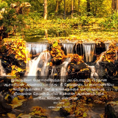 Picture 03 - மத்தேயு 26:63 TAMIRV - இயேசுவோ - Bible Verse Picture
