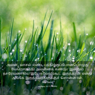 Picture 03 - மத்தேயு 26:71 TAMIRV - அவன், வாசல் - Bible Verse Picture