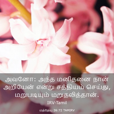 Picture 03 - மத்தேயு 26:72 TAMIRV - அவனோ: அந்த மனிதனை - Bible Verse Picture