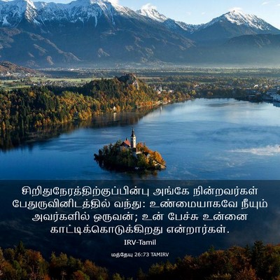 Picture 03 - மத்தேயு 26:73 TAMIRV -  - Bible Verse Picture
