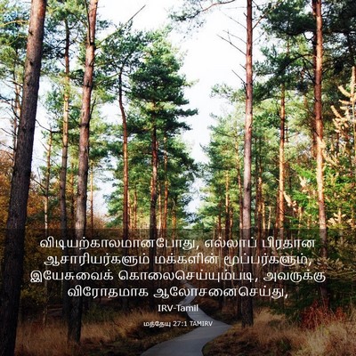 Picture 03 - மத்தேயு 27:1 TAMIRV -  - Bible Verse Picture