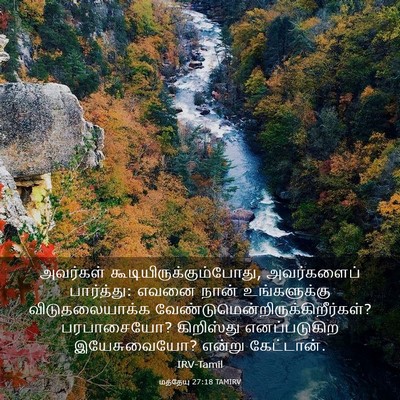 Picture 03 - மத்தேயு 27:18 TAMIRV - அவர்கள் - Bible Verse Picture