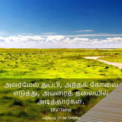 Picture 03 - மத்தேயு 27:30 TAMIRV - அவர்மேல் துப்பி, - Bible Verse Picture