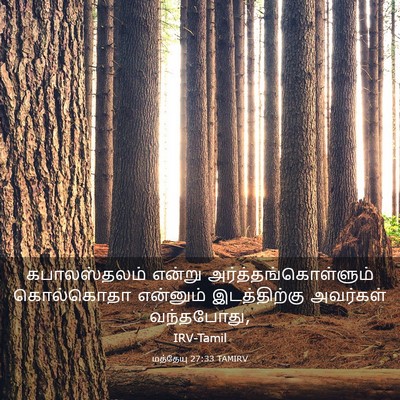 Picture 03 - மத்தேயு 27:33 TAMIRV - கபாலஸ்தலம் என்று - Bible Verse Picture