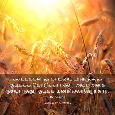 Picture 03 - மத்தேயு 27:34 TAMIRV - கசப்புக்கலந்த - Bible Verse Picture