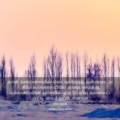 Picture 03 - மத்தேயு 27:60 TAMIRV - தான் கன்மலையில் - Bible Verse Picture