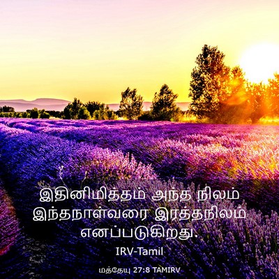 Picture 03 - மத்தேயு 27:8 TAMIRV - இதினிமித்தம் அந்த - Bible Verse Picture