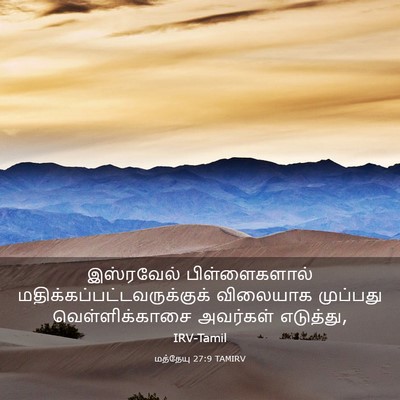 Picture 03 - மத்தேயு 27:9 TAMIRV - இஸ்ரவேல் - Bible Verse Picture