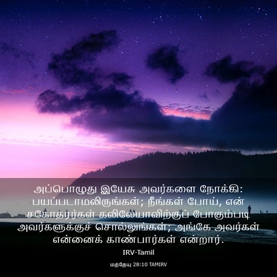 Picture 03 - மத்தேயு 28:10 TAMIRV - அப்பொழுது இயேசு - Bible Verse Picture
