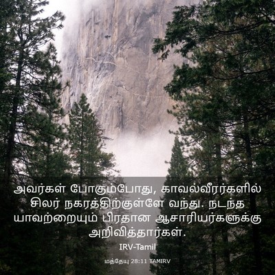 Picture 03 - மத்தேயு 28:11 TAMIRV - அவர்கள் - Bible Verse Picture