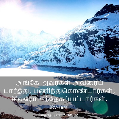 Picture 03 - மத்தேயு 28:17 TAMIRV - அங்கே அவர்கள் - Bible Verse Picture