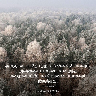 Picture 03 - மத்தேயு 28:3 TAMIRV - அவனுடைய தோற்றம் - Bible Verse Picture
