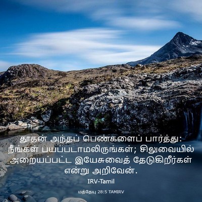 Picture 03 - மத்தேயு 28:5 TAMIRV - தூதன் அந்தப் - Bible Verse Picture